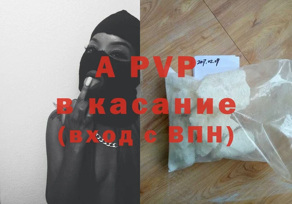 круглые Белокуриха